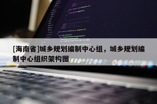 [海南省]城鄉(xiāng)規(guī)劃編制中心組，城鄉(xiāng)規(guī)劃編制中心組織架構(gòu)圖