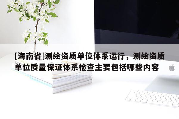 [海南省]測繪資質(zhì)單位體系運行，測繪資質(zhì)單位質(zhì)量保證體系檢查主要包括哪些內(nèi)容
